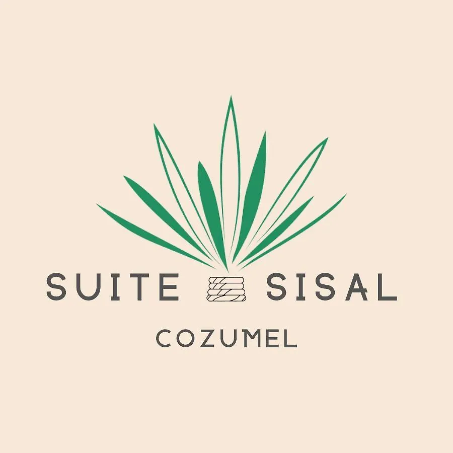 펜션 Brand New Condo With Rooftop Pool 코수멜 멕시코